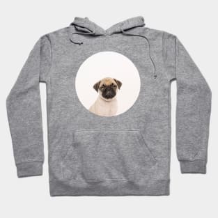 Puggly the Pug Dog Hoodie